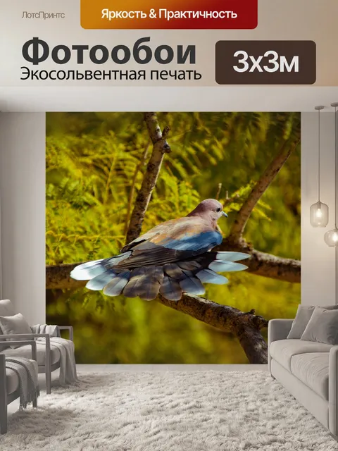 Фотообои Птица