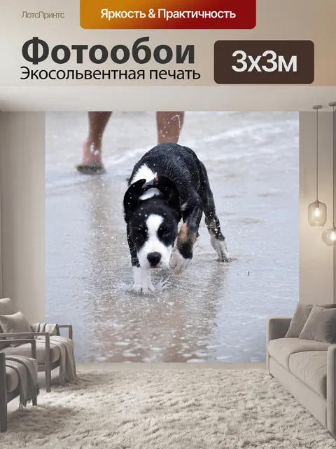 Фотообои Собака