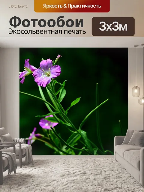 Фотообои Полевой цветок