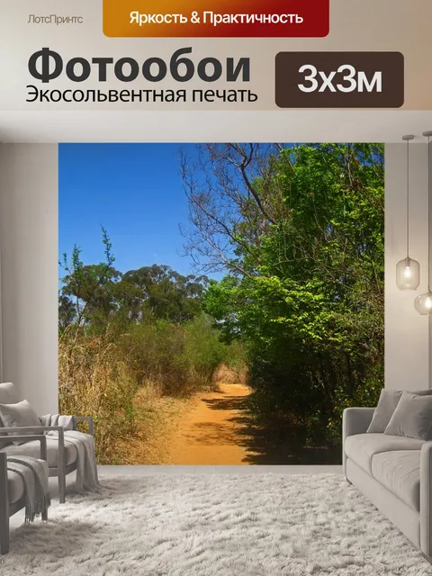 Фотообои пыльная пешеходная тропа рядом с деревья