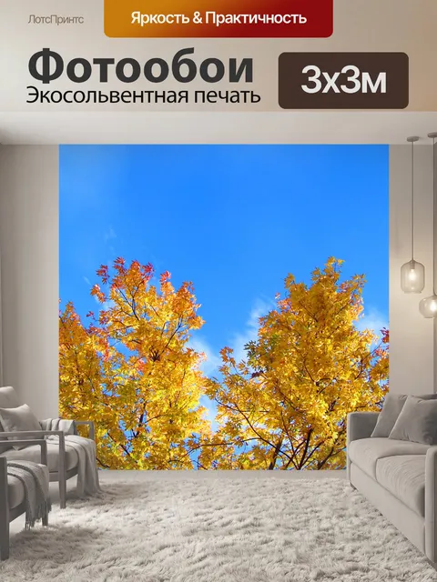 Фотообои Осенние листья