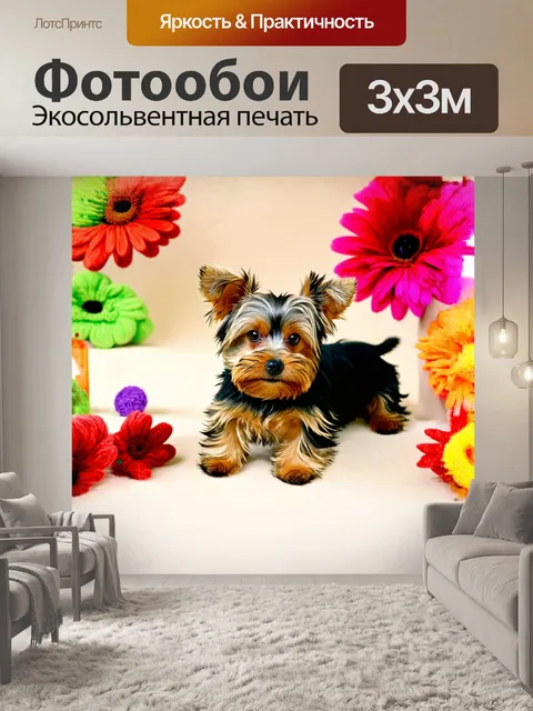 Фотообои восхитительный йоркширский терьер