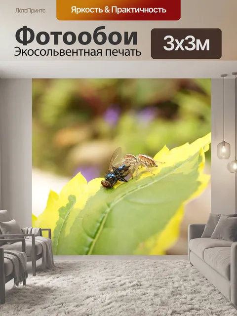 Фотообои Картинки