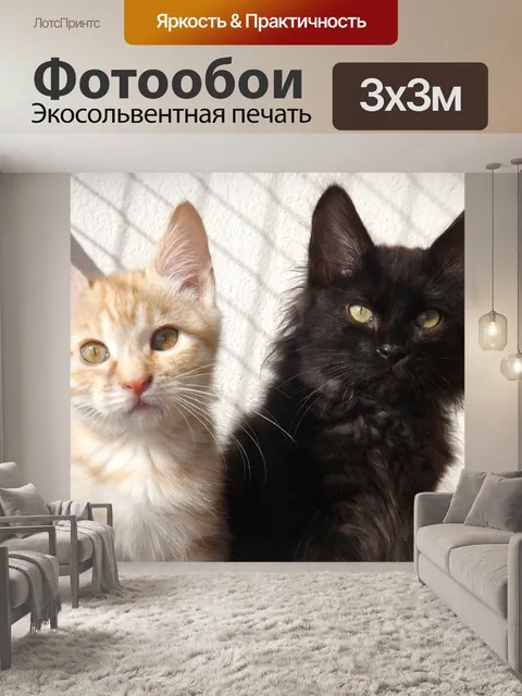 Фотообои Курильский бобтейл