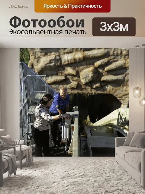 Фотообои Инженер