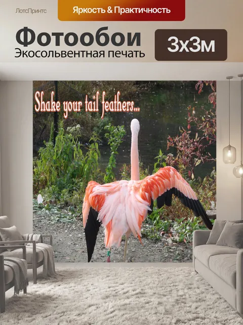 Фотообои Под сенью перьями хвоста