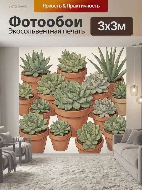 Фотообои Суккуленты в терракотовых горшках