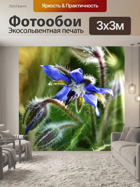 Фотообои Солнечный свет