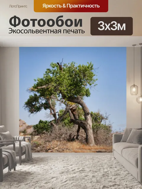 Фотообои Гнарлиное дерево