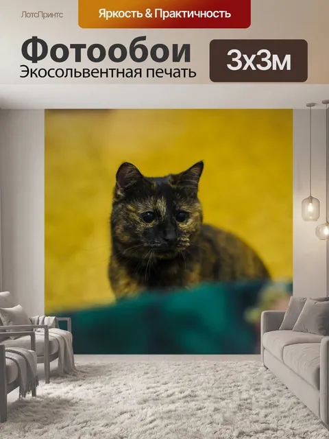 Фотообои Кошка