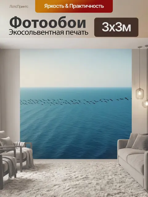 Фотообои птицы, парящие над морем в поисках еды