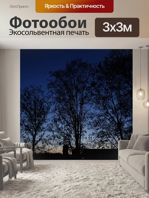 Фотообои Деревья