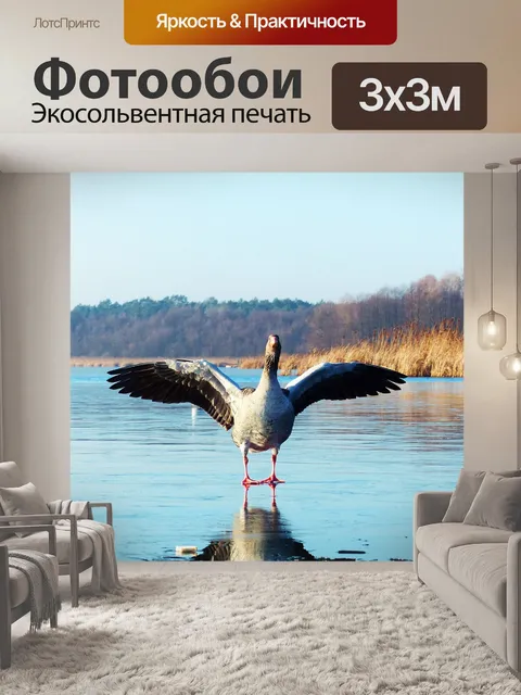 Фотообои Гусь на льду