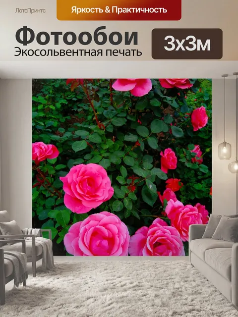 Фотообои Розы