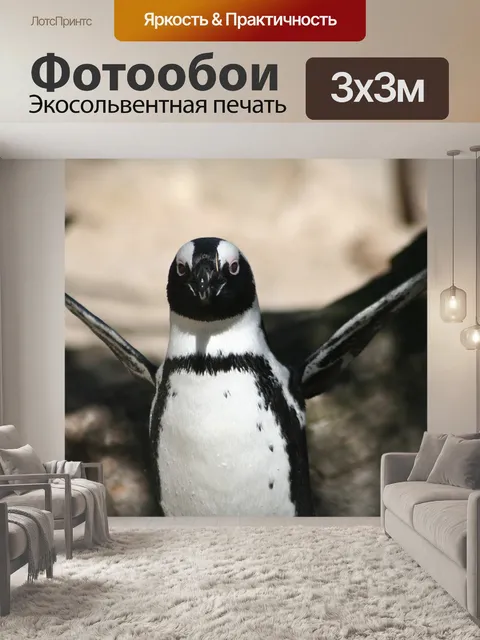 Фотообои Пингвин
