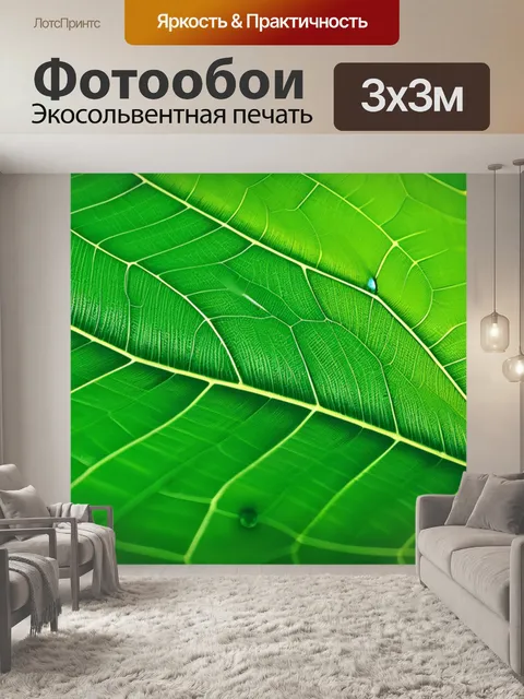Фотообои пейзаж с листиком