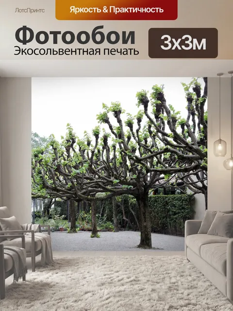 Фотообои Дерево