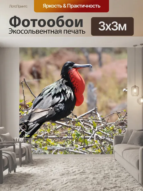 Фотообои Фрегат