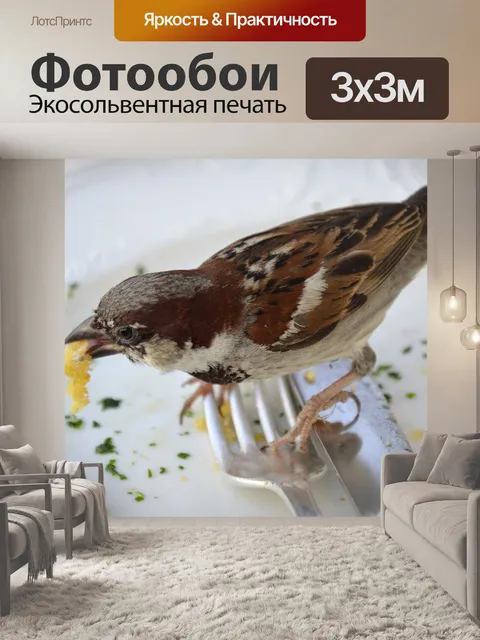 Фотообои Воробей