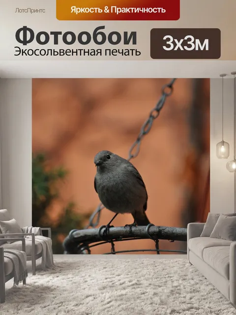 Фотообои Золушка