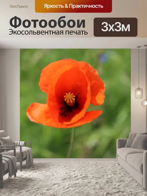 Фотообои Маковое семя