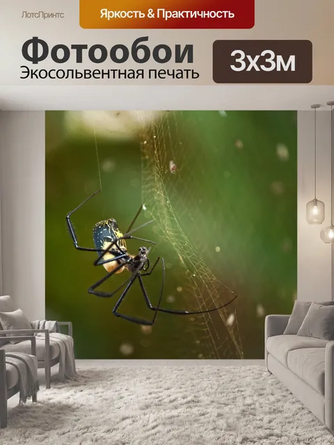 Фотообои золотой шар ткач паук