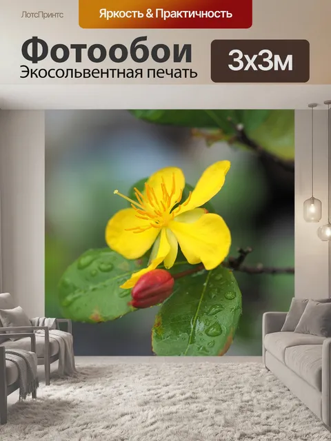 Фотообои Маленький желтый цветок
