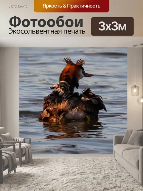 Фотообои Большая поганка