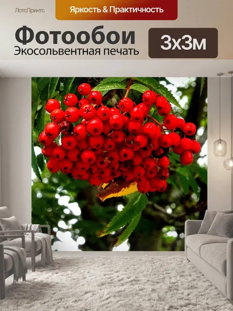 Фотообои Красные ягоды, свисающие с дерева