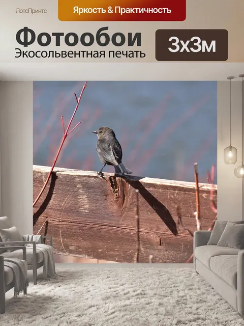 Фотообои Птица на заборе