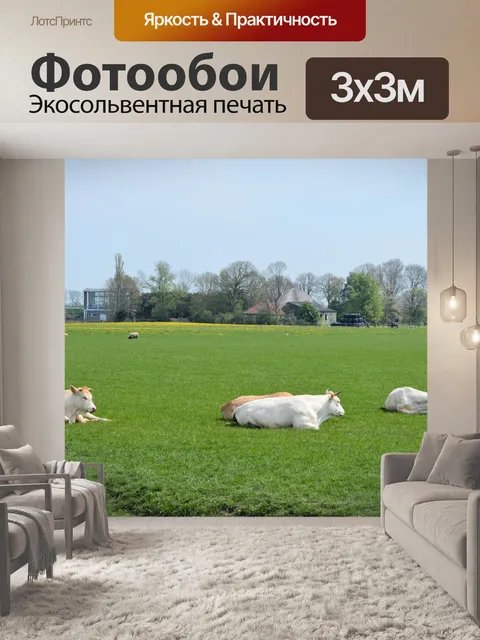 Фотообои Голландский пейзаж страны