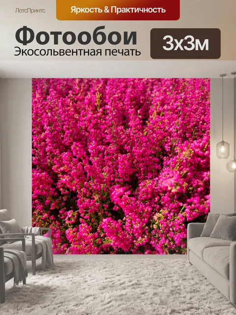 Фотообои Розовые цветы вереска