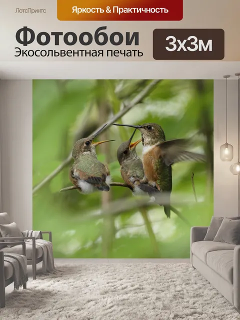 Фотообои Птицы