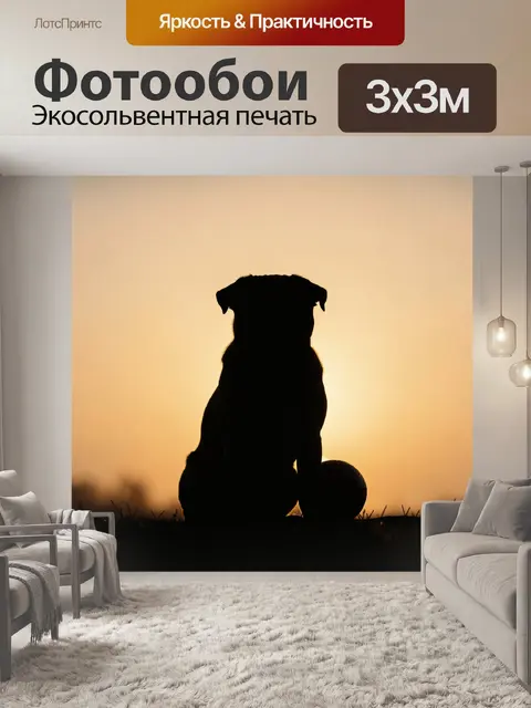 Фотообои Силуэт собаки с мячом