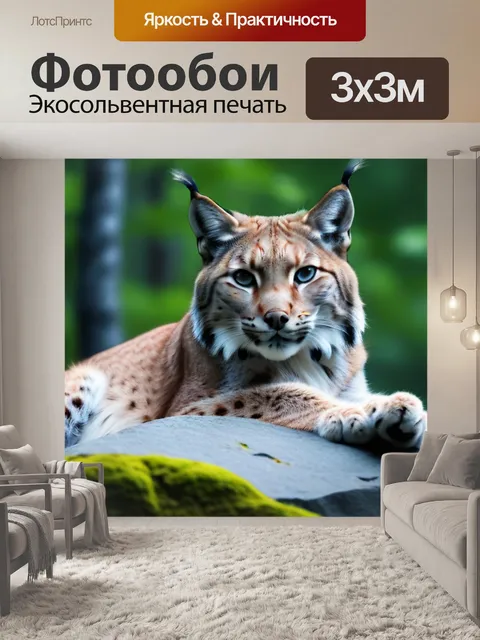 Фотообои величественная рысь на скале в лесу