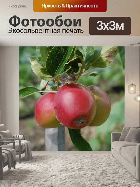 Фотообои Apple