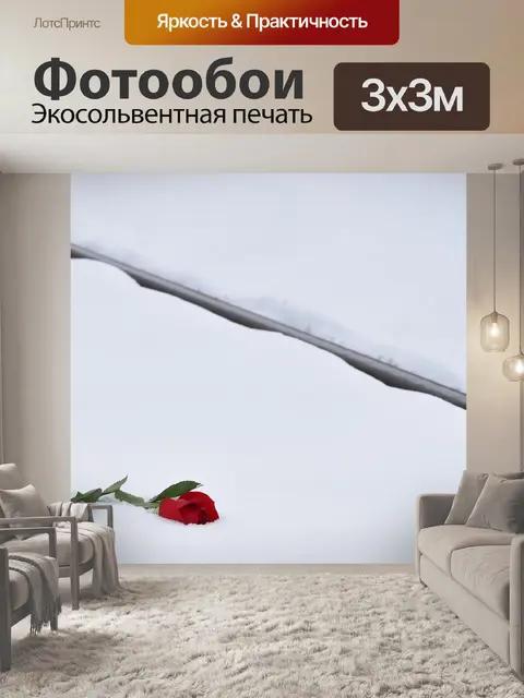 Фотообои Красная роза в снегу