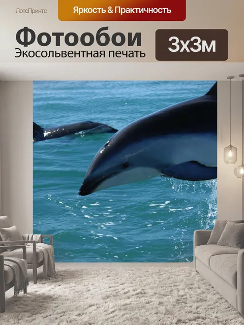 Фотообои Тёмный дельфин
