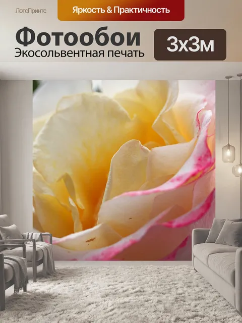 Фотообои Кустовая роза