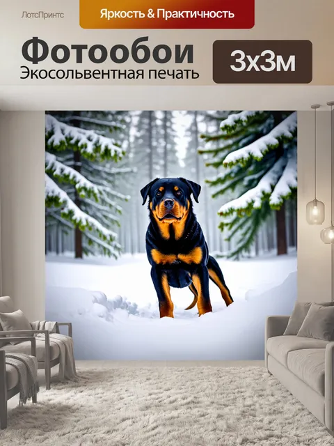 Фотообои ротвейлер в зимнем лесу, играющий в снегу, окруженный заснеженными деревьями