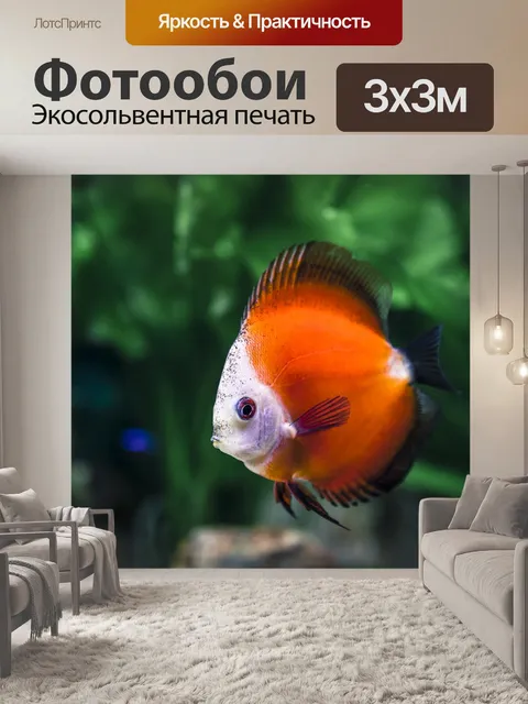Фотообои Животное