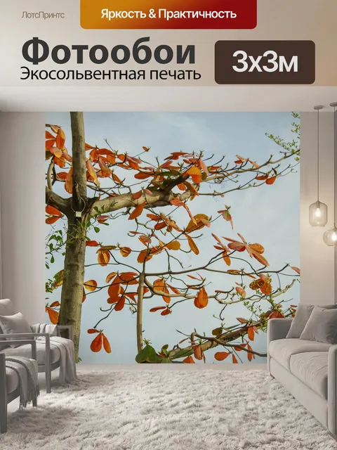 Фотообои Летом