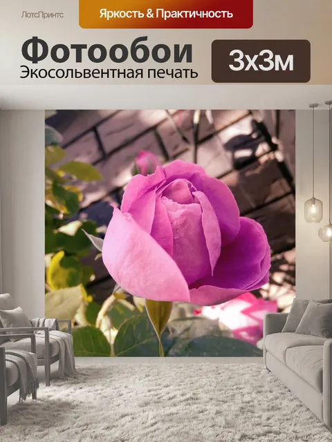 Фотообои Роза