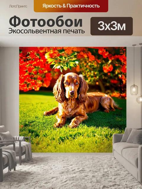Фотообои кокер-спаниель, с его длинными, шелковистыми ушами, лежит на мягком зеленом лужайке, окруженный яркими цветами