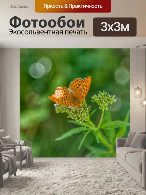 Фотообои Императорское пальто