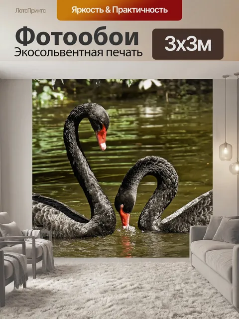 Фотообои Лебедь