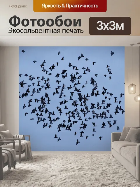 Фотообои Птицы