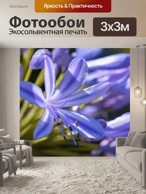 Фотообои Фиолетовый