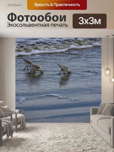 Фотообои птицы в океане