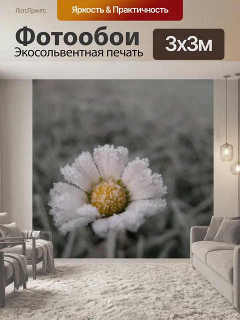 Фотообои Цветок